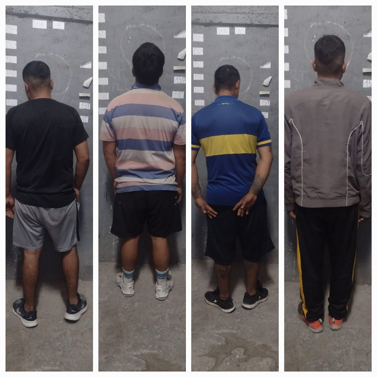 Detuvieron a seis personas y secuestraron 60 kilos de aceitunas en San Rafael