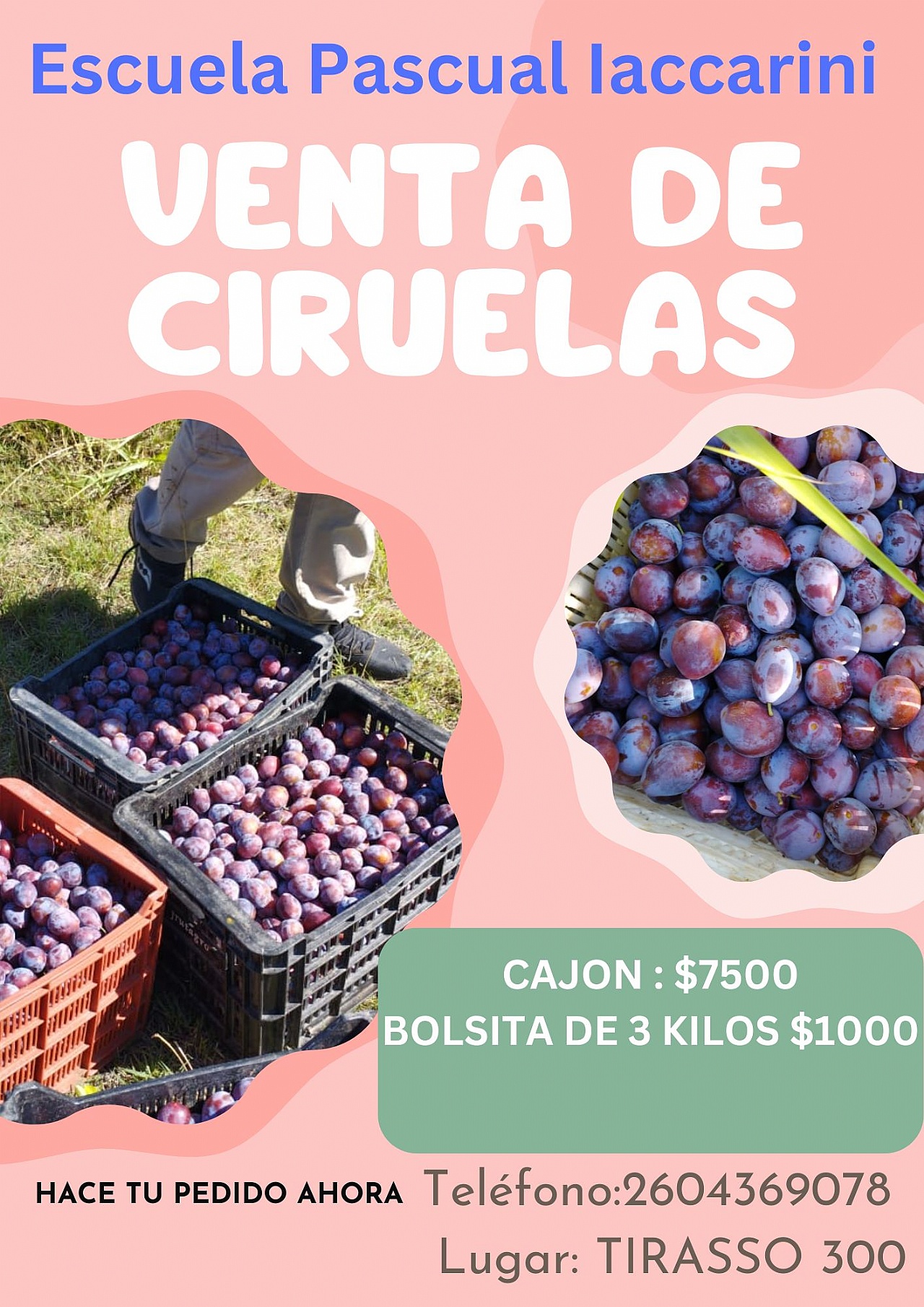 La escuela Iaccarini ofrece a la venta cajones de ciruela y conejos